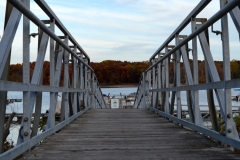 Gateway to the trees